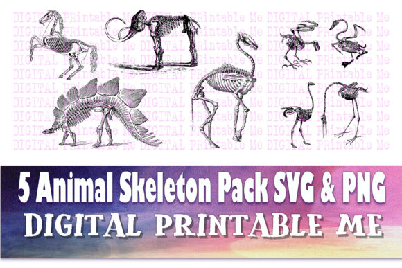 Animal Skeleton Clip Art Pack: 5 SVG & PNG Images