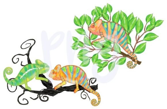 Chameleon Leaves Nature PNG: A Designer's Secret Weapon for Organic Branding