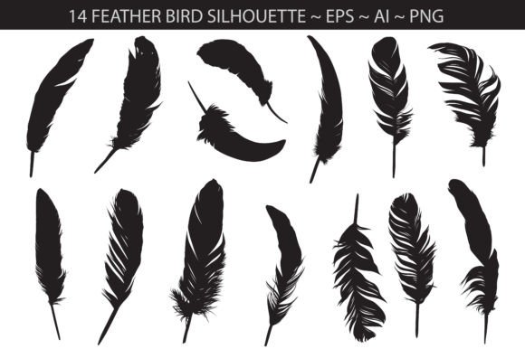 Feather Bird Clip Art: Essential Design Assets for Modern Branding